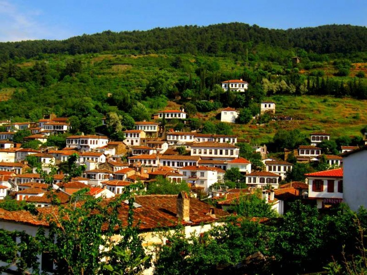 The Ancient City Of Ephesus Sirince Village Tour